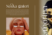 Neuva Ligature Serif Typeface, a Serif Font by yaqublekker (Thumbnail 4 of 10)