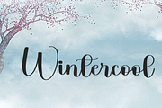 Tyhpoon Family, a Handwritten Font by FreshTypeINK (Thumbnail 7 of 8)