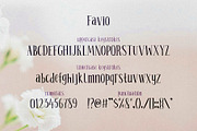 Favio - playful duo of vintage fonts, a Serif Font by Anastasia Cuza (Thumbnail 6 of 9)