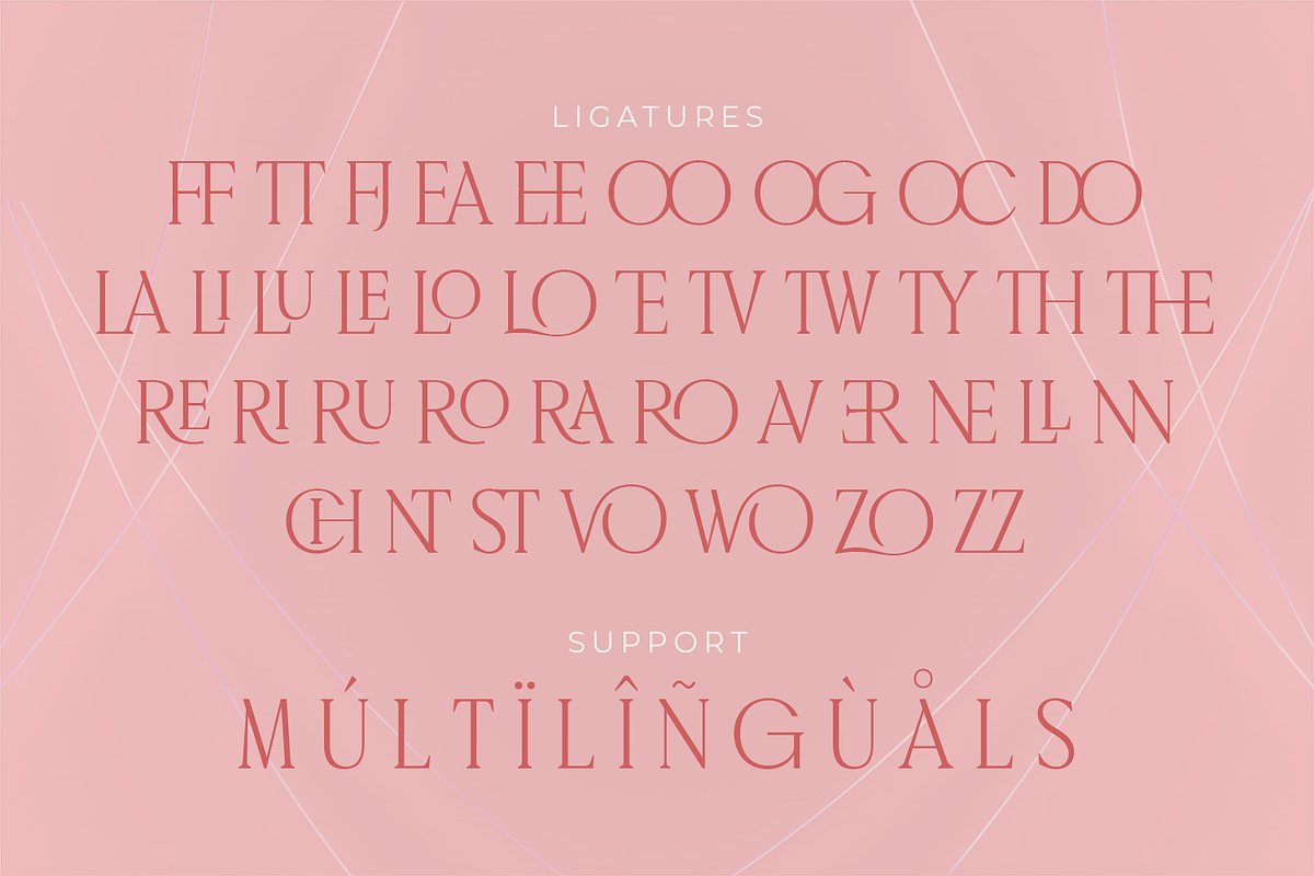 Classic Gallery – Claasic Condense, a Serif Font by Almarkhatype (Photo 9 of 10)