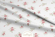 Watercolor Blush Roses Floral Set, a Decorative Illustration by Carol Lozove (Thumbnail 28 of 50)