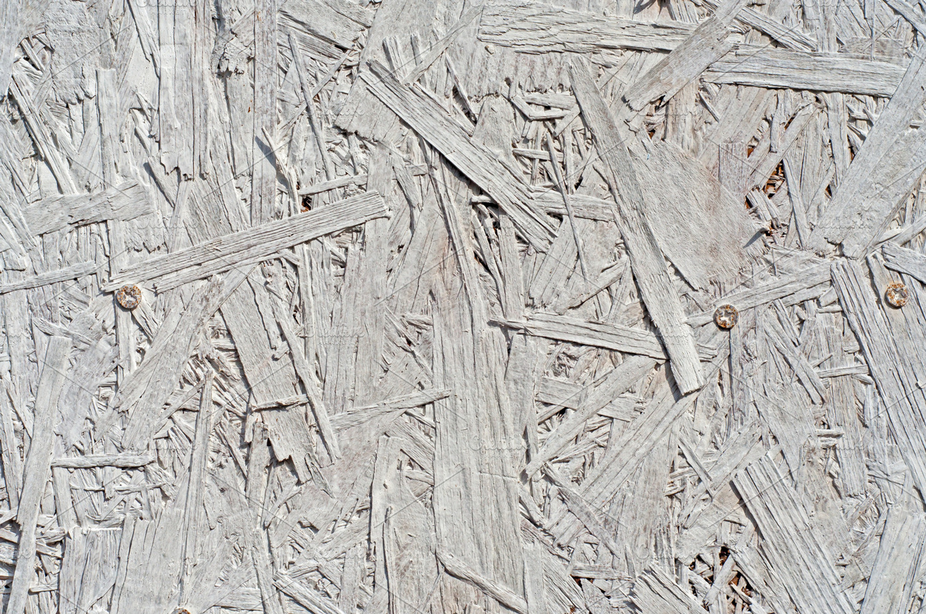 Painted Plywood