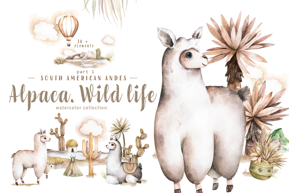 Alpaca Cute WildLife Watercolor Set, an Animal Illustration by Ann Art Houze (Photo 1 of 12)