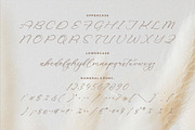 Holicakes Serfinah Beauty Script, a Script Font by Storytype Studio (Thumbnail 13 of 15)