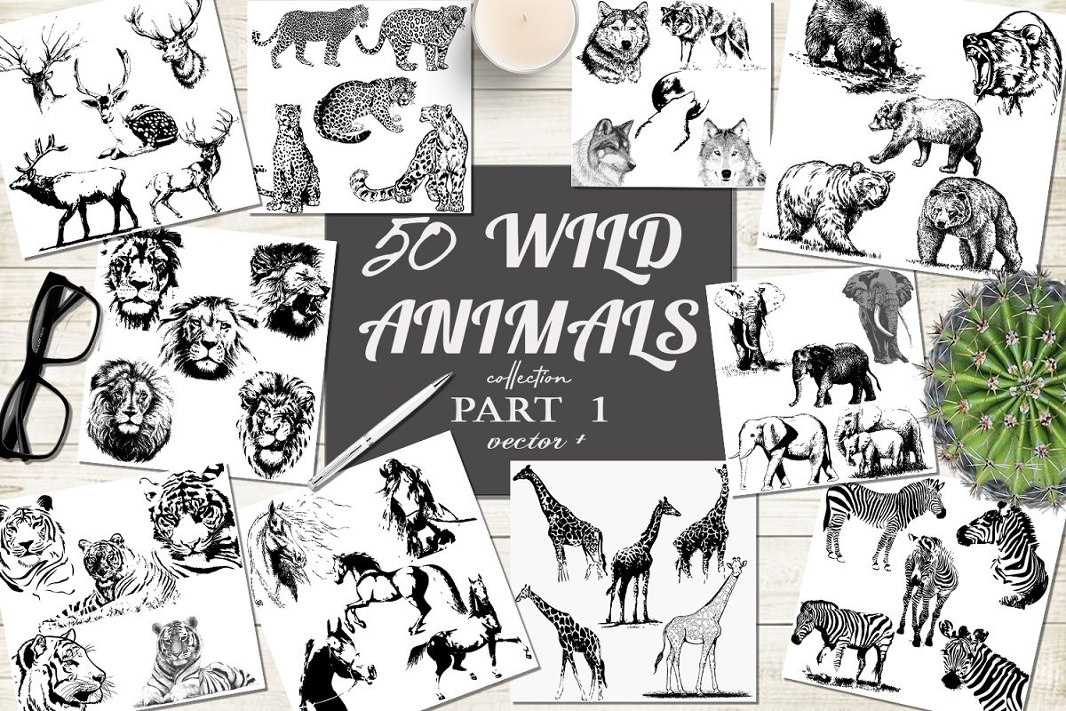 BUNDLE WILD ANIMALS VECTOR, an Animal Illustration by AnastasiyaOleynik (Photo 2 of 20)