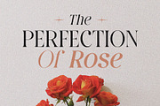 Dating Historia font family, a Serif Font by ToniStudio (Thumbnail 5 of 10)