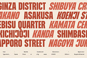Nanika, a Sans Serif Font by Typeskets (Thumbnail 14 of 15)