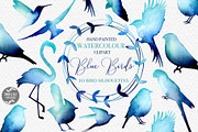 Bird Silhouettes Watercolour Clipart, an Illustration by Tommy & Tilly Design (Thumbnail 1 of 3)