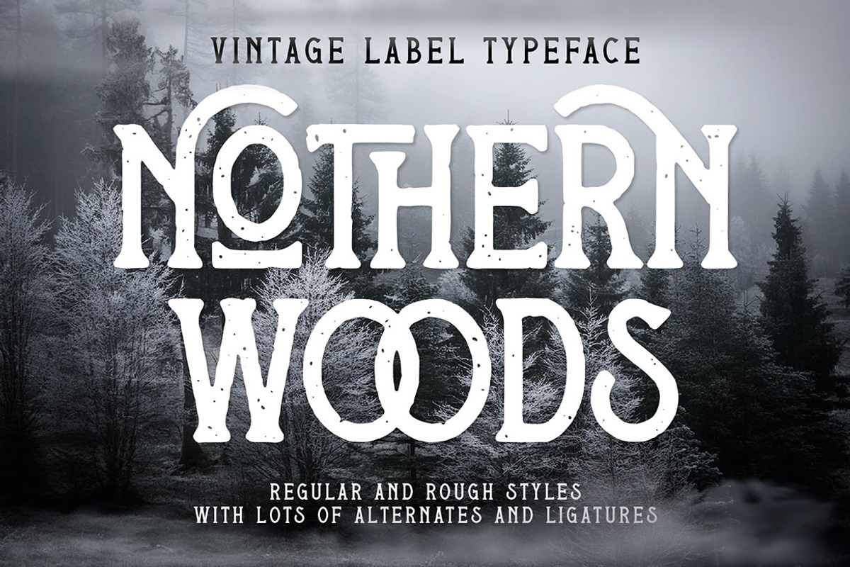 Nothern Woods Vintage Label Font, a Serif Font by JumboDesign (Photo 1 of 6)