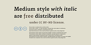 Certa Serif, a Serif Font by Glen Jan (Thumbnail 11 of 12)