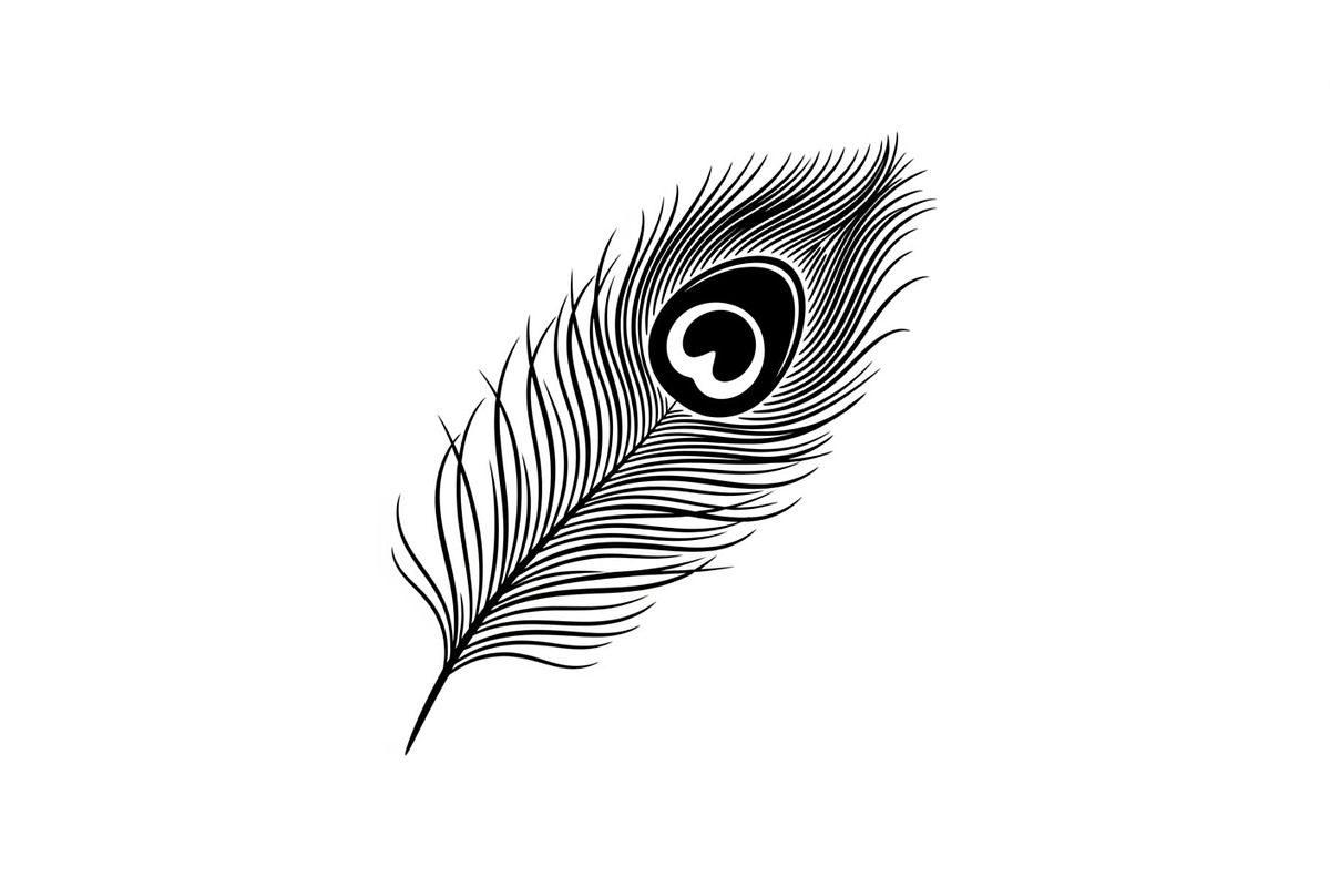 Peacock Feather Silhouette Bundle, an Illustration by jahid234 (Photo 20 of 31)