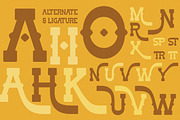 Outlaw Major - Slab Serif Font, a Serif Font by Flawless And Co (Thumbnail 8 of 10)
