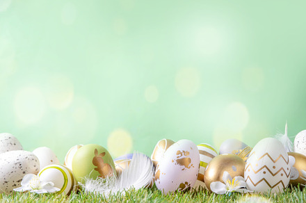 Easter egg grass background, a Holiday Photo by Rimma