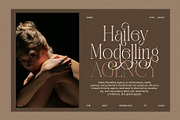 The Safiera Elegant Serif Font, a Serif Font by Perfectype (Thumbnail 4 of 8)