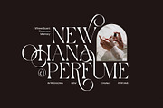 History Elegant Ligature Serif Font, a Serif Font by Elegant Font (Thumbnail 3 of 8)