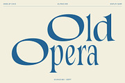 Alvinus Mix, a Serif Font by Craft Supply Co. (Thumbnail 2 of 8)