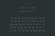 Risuali - Luxury Typeface, a Serif Font by Cruzine (Thumbnail 6 of 8)