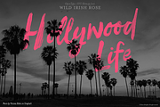 Script font Wild Irish Rose, a Script Font by Itsmesimon (Thumbnail 3 of 25)