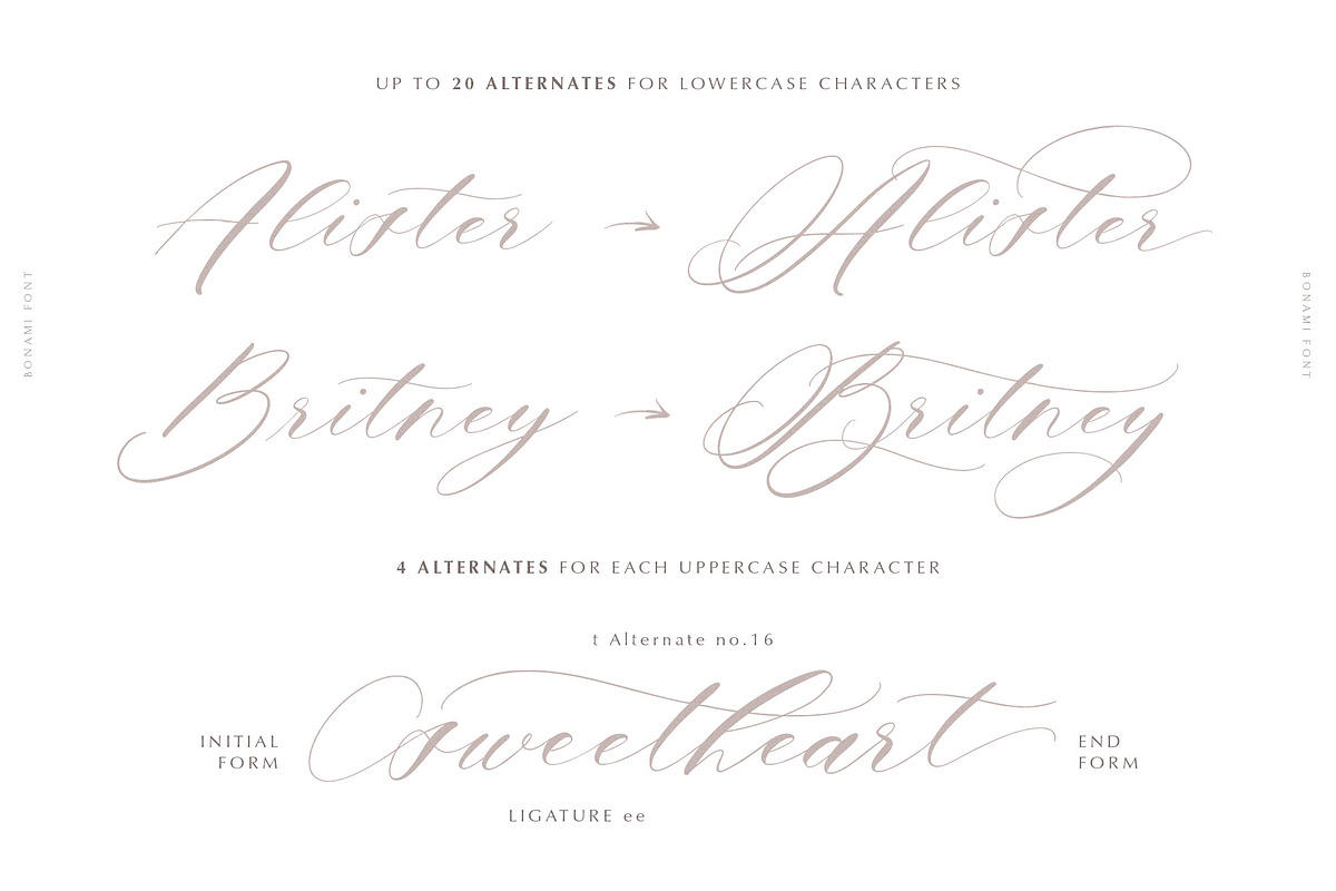 Bonami Font, a Script Font by Ivan Rosenberg (Photo 6 of 11)