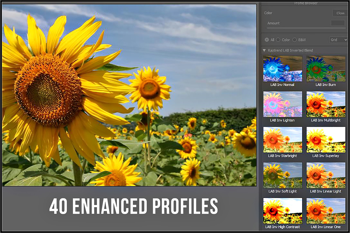 LAB Color Vol. 1 - Inverted Blend, a Plug-in Add-On by Raztrend (Photo 2 of 30)