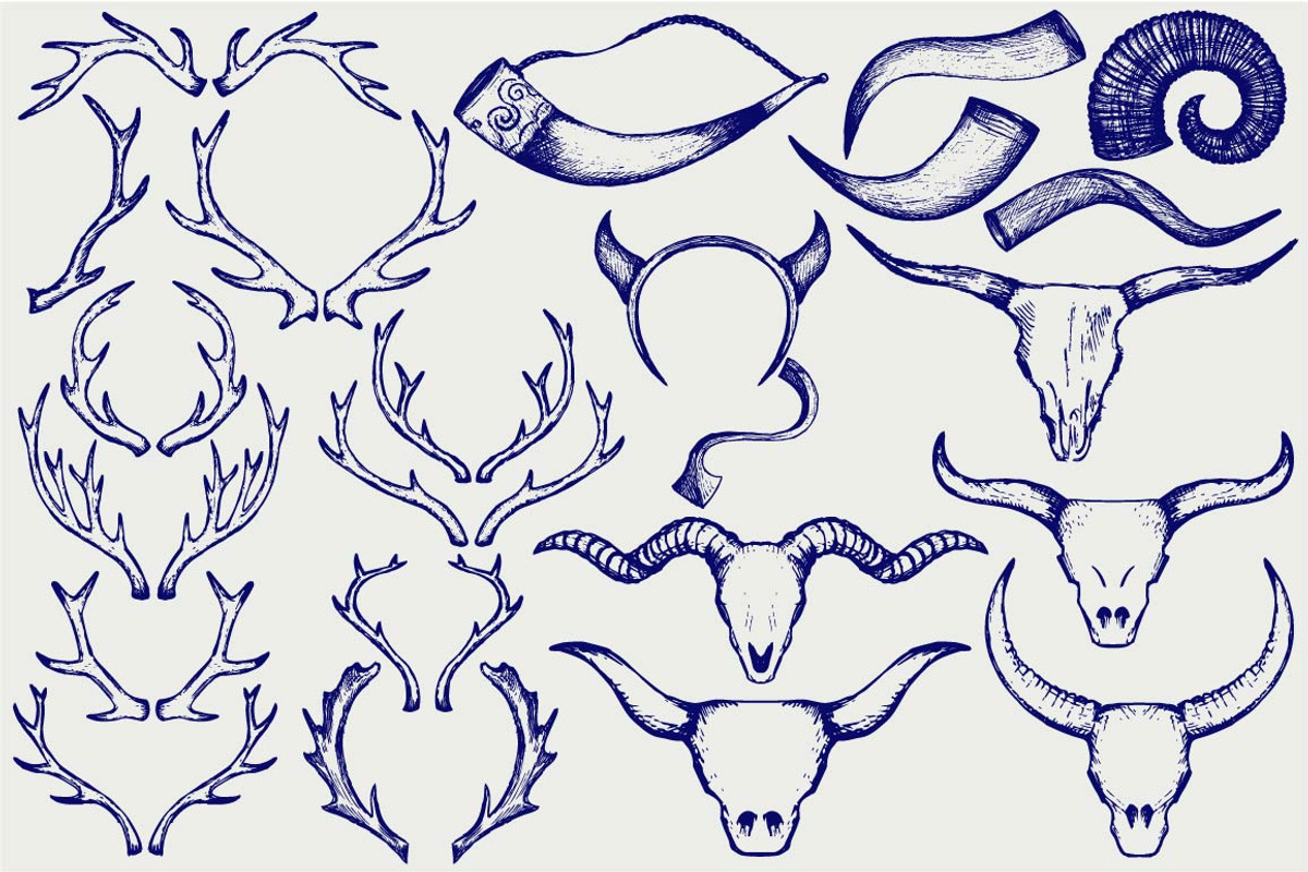 Deer antlers, horns animals SVG, an Animal Illustration by LineworkStock (Photo 1 of 3)