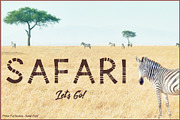 Safari Playful Display Font Typeface, a Sans Serif Font by Porter Fig (Thumbnail 5 of 7)