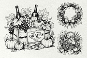Grape Harvest Vineyard Graphics, a Decorative Illustration by DENIDigitalArtSudio (Thumbnail 5 of 6)