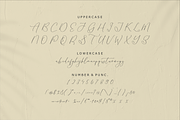 Homylane Dreamyntine Chic Calligraph, a Script Font by Storytype Studio (Thumbnail 12 of 15)