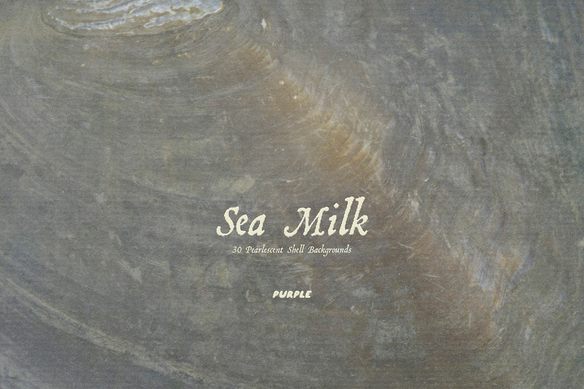 Sea Milk: Sheashell Backgrounds, a Background Graphic by Purple (Photo 10 of 10)