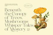 Beauty Rovesa Elegant Display Serif, a Serif Font by BrandSemut (Thumbnail 13 of 15)