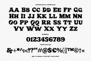 Hey Girlie - Display Font, a Serif Font by Prioritype Co (Thumbnail 10 of 10)