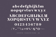 Milka Elegant Serif Font, a Serif Font by Elegant Font (Thumbnail 6 of 8)