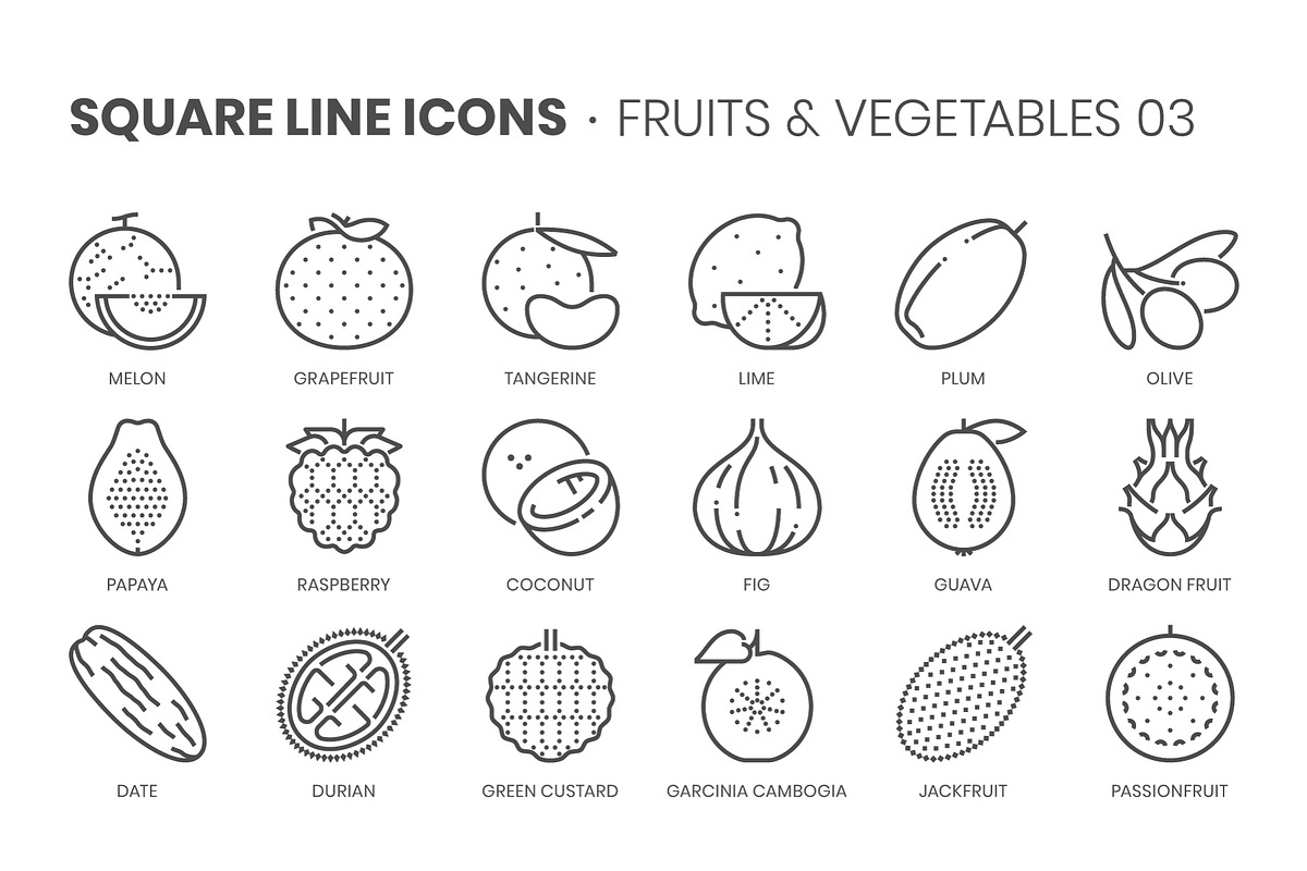 Square line icons, an Outline Icon by Howcolour (Photo 69 of 85)