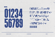 Premiero Bold Sans Serif Font, a Sans Serif Font by typeparties (Thumbnail 8 of 9)
