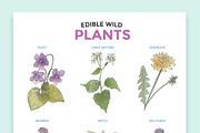 Hand Drawn Edible Flowers, an Illustration by MyNatureGraphics (Thumbnail 2 of 3)