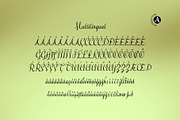 Smiling Moon - Modern script font, a Script Font by Attractype (Thumbnail 7 of 9)