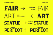 Makmest Retro Vibes Display Variable, a Sans Serif Font by Typetemp Studio (Thumbnail 9 of 12)
