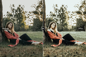 Folklore Pro Lightroom Presets