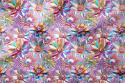 Cosmic Flowers, a Pattern Graphic by Tiger and Flower (Thumbnail 4 of 18)