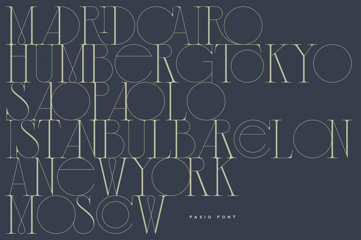 Fasio Font, a Serif Font by vuuuds (Photo 14 of 15)