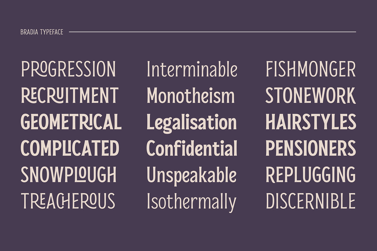 Bradia, a Serif Font by Locomotype (Photo 9 of 12)