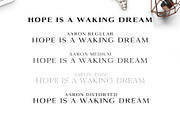 Aaron Serif Font Family, a Serif Font by Creativetacos (Thumbnail 4 of 5)