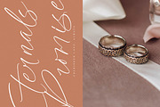 Artfully Stylish, a Script Font by operatype.co (Thumbnail 12 of 15)