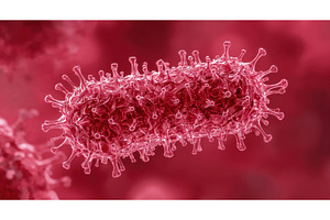 3D illustration of a single virus, an Illustration by tilialucida