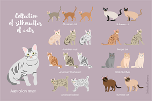 46 Cats Silhouettes Clipart