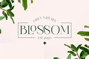 Vallura - Serif Display Font, a Sans Serif Font by Vesvocrea (Thumbnail 2 of 9)