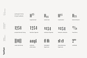 TT Knickerbockers, a Sans Serif Font by TypeType (Thumbnail 8 of 16)