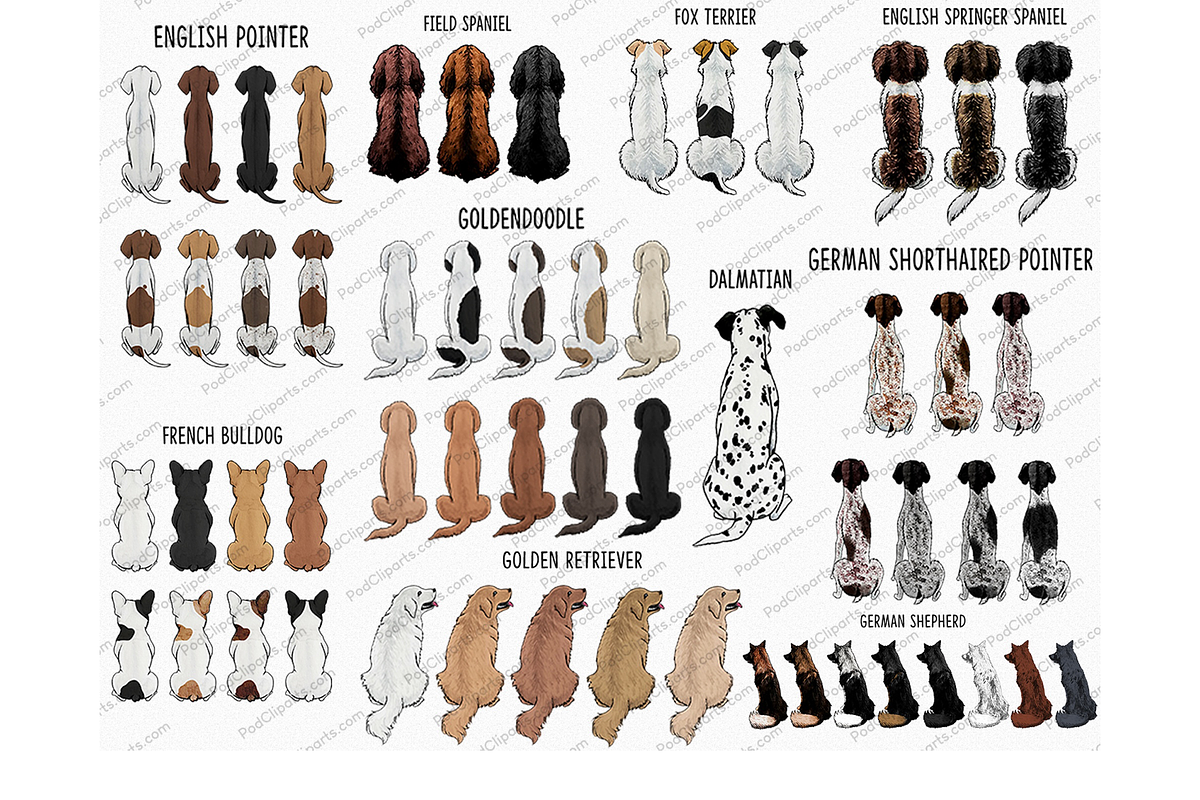 Dogs and Girl Clipart PNG, sitting, a Person Illustration by Podcliparts (Photo 3 of 10)