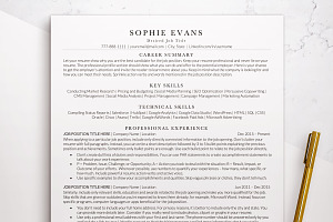 Modern ATS Resume Template, a Resume Template by BestResumes.Co
