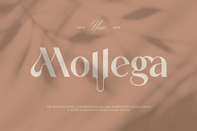 Mollega || Minimalist Sans Serif